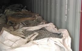 中國拒收「洋垃圾」  不肖廠商轉運來台