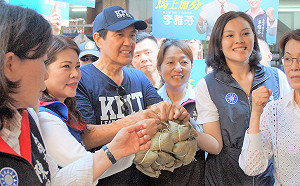 馬英九高雄輔選 馬迷熱情相挺