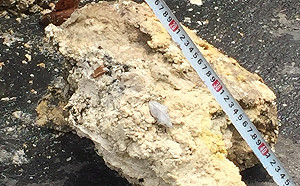 上游食品廠排油汙惹的禍 下游堵塞淹水釀災害