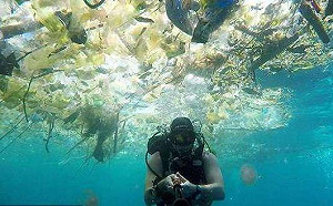 潛水夫錄下恐怖影像 峇里島垃圾汙染嚴重 App提升清運效率