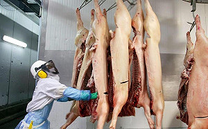 中美貿易戰犧牲品 美國肉品滯銷破紀錄囤11億公斤