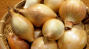 救洋蔥不跌價 將增加產銷履歷占總量2成