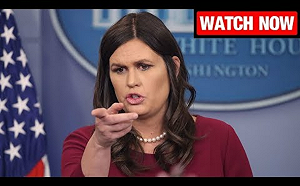 大總統的反擊！被罵慘  白宮考慮取消6卸任官員安全許可