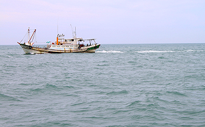 別偷撈我的魚! 南韓打擊非法捕撈 希望中國別越界