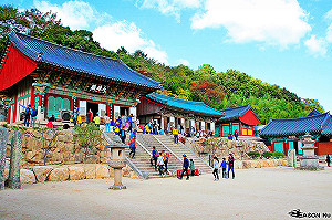 中國報復無效？市場多樣化 南韓旅客上半年不減反增