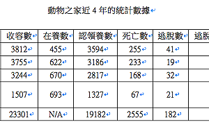 狗咬貓事件頻傳 議員要動保處立刻改進