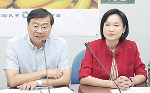 砲口對內！美航屈服矮化台灣 國民黨團：蔡政府應面對國際現實　