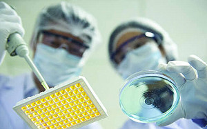 生技股好強 13檔國產生技基金今年平均漲7.15%