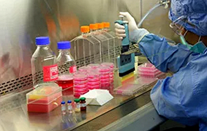 假疫苗事件震驚國際  WHO：令人遺憾