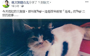 姚文智談養貓經驗  網友灌爆臉書：貓奴沒那麼好騙