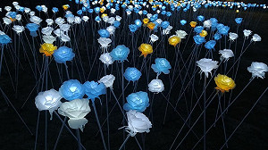 少女心大噴發！七夕賞夜景就到淡水海關碼頭