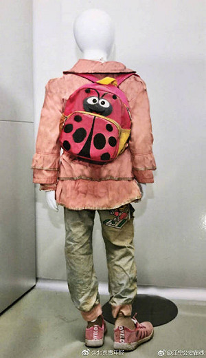 南京腦麻女童遭親父推入河中溺斃 專家籲引進台灣通報制