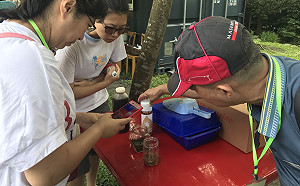 從農場到餐桌「零廚餘、零汙染」「黑水虻」成廚餘救星