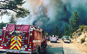 美加州野火燒光450人小鎮  男子趁火打劫被捕