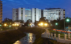 改選董事與婦聯會切割？振興醫院：世代交替 辜嚴缷任