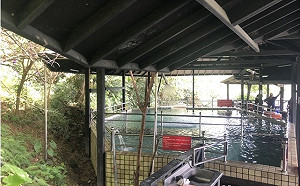 快訊》新北3歲男童意外溺水  緊急送醫搶救