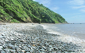 落山風療癒新天地！漫步古道濕地賞神社古道美景