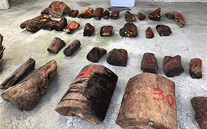 山老鼠兼販毒    橋檢聲押3人獲准