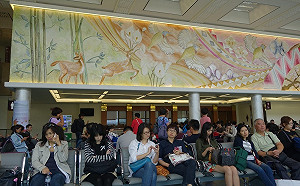 茲卡病毒盛行東南亞！出國旅遊前中注意要點Hen重要