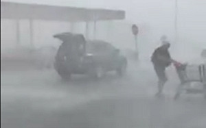 地表最強阿嬤 美國老奶奶暴雨中還推車 數百萬人按讚 (影)