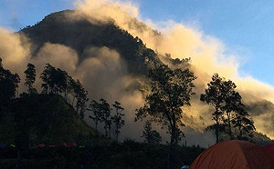 印尼龍目島強震  外交部：希望台灣的愛心能真正幫助到災民