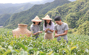 夏日輕旅行！貢寮、坪林、平溪3路線25種旅程任你挑
