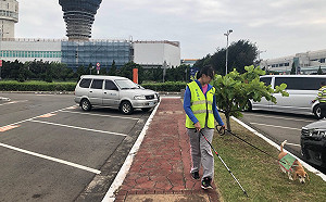 紅火蟻走好不送！桃機14年日夜努力終解除防疫管制