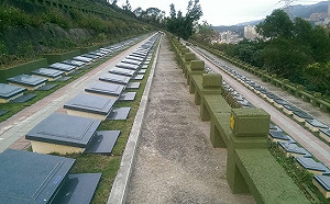 吵「死人」？內政部修法 公墓土地未來可發展太陽光電