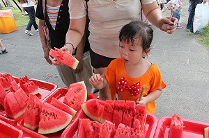 清涼體驗夏日古早味！台北納涼音樂會11日舉行