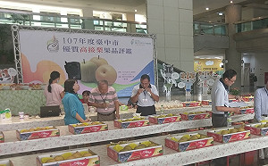 台中東勢高接梨評鑑 農友黃政乾榮獲第一名