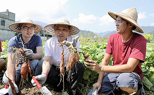 蘇、侯同日金山搶票  侯友宜:更多人來關心是好事