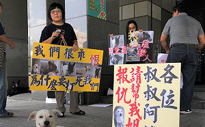 流浪犬爆頭被打死 動保團體屏縣府陳情