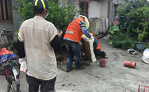 登革熱入侵嘉義，縣、市衛生局繃緊神經應戰