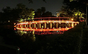 今晚最浪漫！七夕到台中公園享受綺麗環湖夜色