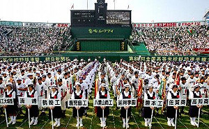 赴日看棒球遭毆事件 帶風向的中國網軍也支持韓國瑜？