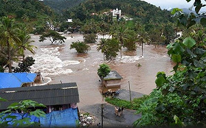 印度南部克勒拉省暴洪肆虐  增至37死