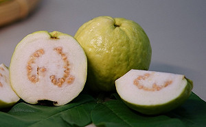 夏日好滋味！宜蘭甜心及紅心番石榴清脆、軟Q  口感大不同