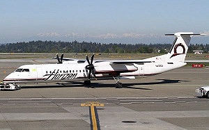 美地勤人員偷開飛機墜毀 警方尋獲黑盒子