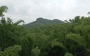 垃圾掩埋場錯了嗎？環團反駁業者指出真的有錯