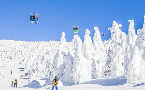 冬天就是要滑雪！初學者必備9大滑雪禮儀