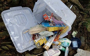 熊出沒！黑熊進入嘉明湖山屋找食物