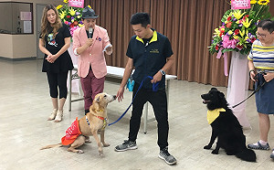 認養代替購買  動物之家邀你賞畫賞毛孩