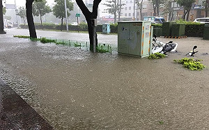 高雄大豪雨不停 班機取消水淹不停
