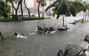 高市道路經不起豪雨考驗   議會砲聲隆隆提前散會