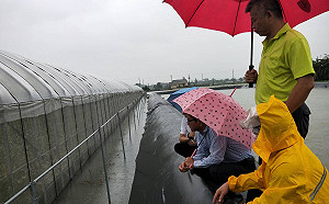 南台灣強雨致災  高雄市農損面積初估3百公頃以上