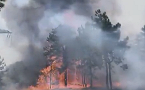 德國森林大火逼近村莊 疏散約600人