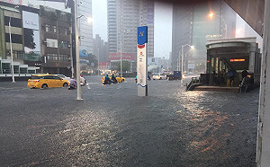 豪雨過後防登革熱！環保局籲把握黃金48小時清孳生源