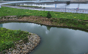 走訪高美濕地遊客服務中心！探索生態保育奧妙