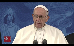 越演越烈！教廷前大使：教宗5年前就知性侵事件 應請辭