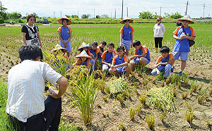 台中通過食農教育自治條例草案！選用在地農產品「親手做」